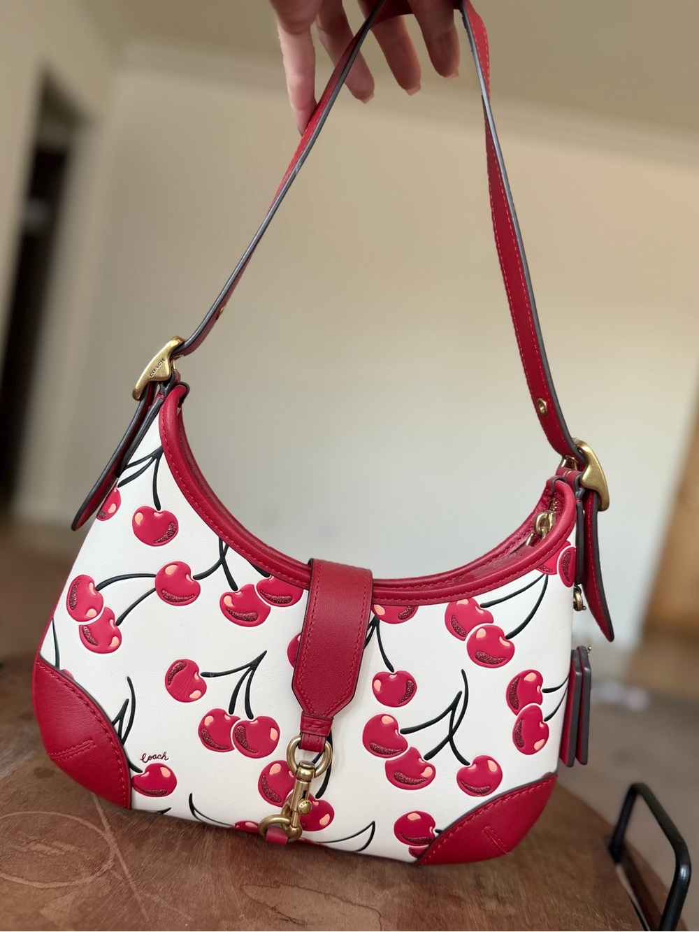 Coach hamptons hobo cherry